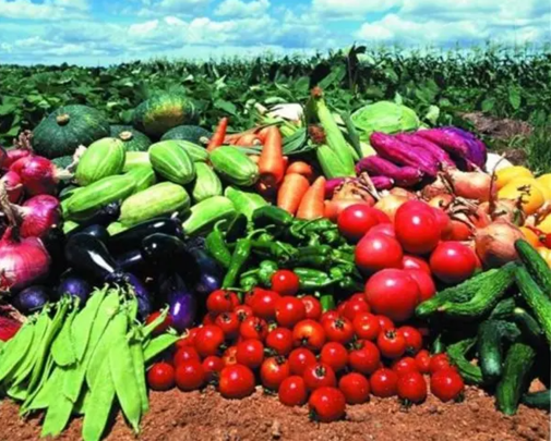 山西将实施四大行动提高农产品质量品质