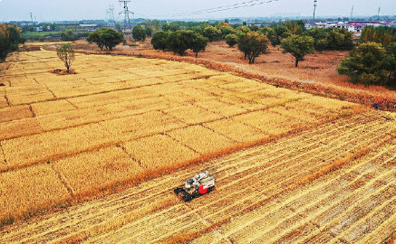 2022年山西省粮食总产单产均创历史新高