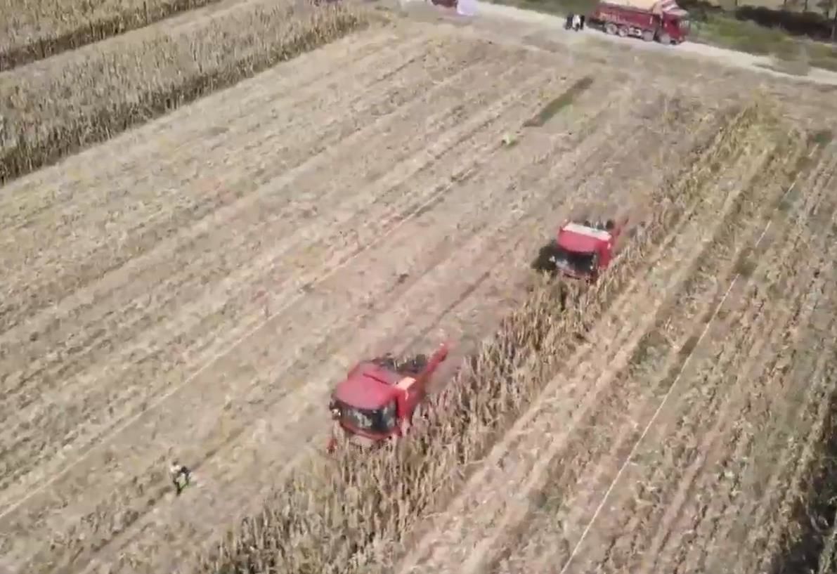 今年我省粮食总产单产均创历史新高