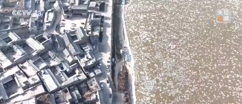 黄河吕梁段出现今冬首次流凌