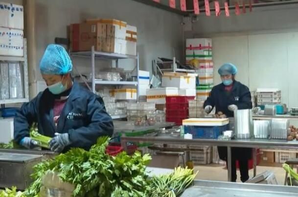 提升蔬菜生产配送能力 拎稳群众“菜篮子”