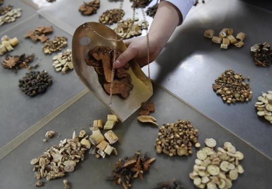 省科协邀请专家线上交流 中医开良方支招健康防护