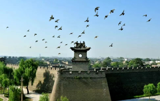 图解｜“4+12”重大任务目标，省市联动合力推进