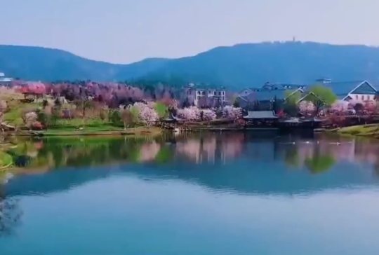 晋城：太行“凉”资源催生乡村“热”经济