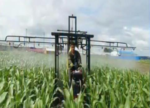 中央财政6383万元重点支持我省秋粮“一喷多促”