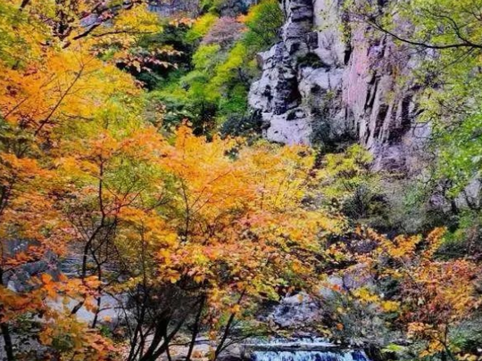 + - × ÷ ！山西这“美丽公式” 你get到了吗？