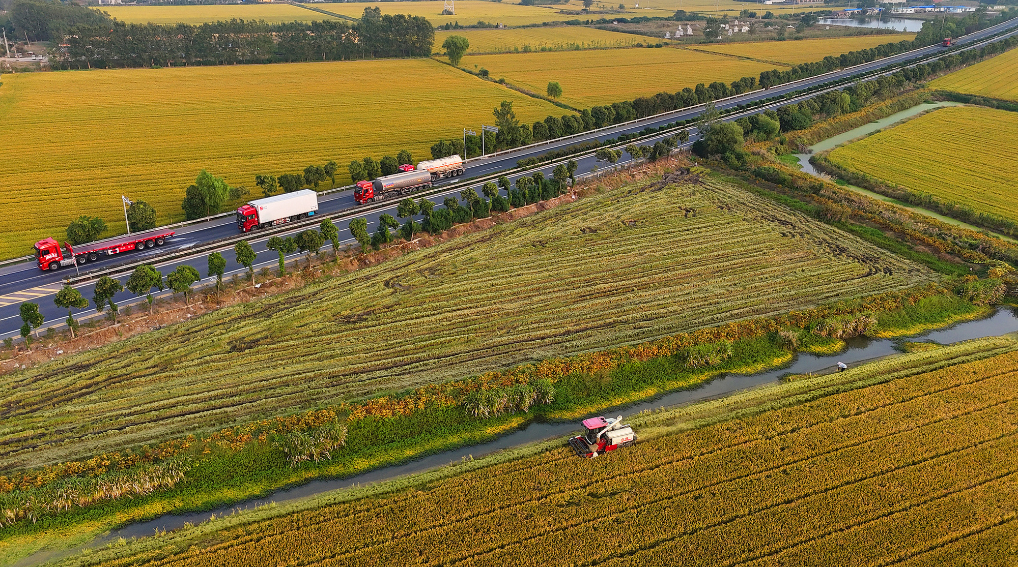 【央广时评】践行大食物观 端牢“中国饭碗”