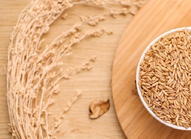 【粮食大事】粮食节约要紧盯不放