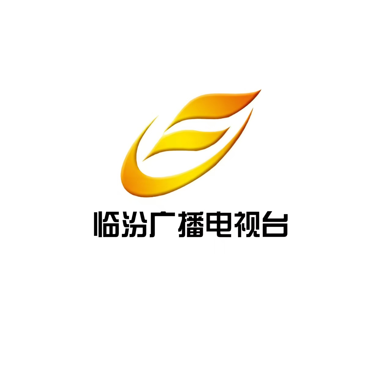 临汾新闻综合