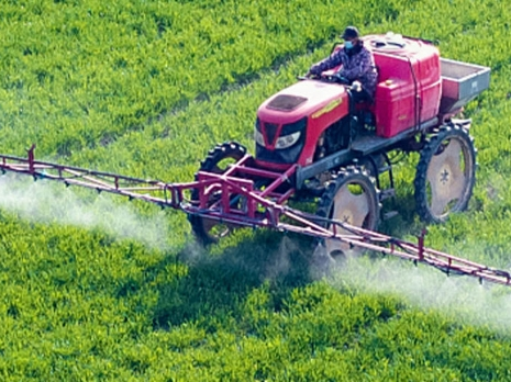 不负“食”光 珍惜每一粒粮食