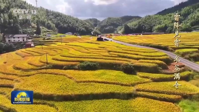 文化中国行丨二十四节气·霜降 霜降见霜 米谷满仓