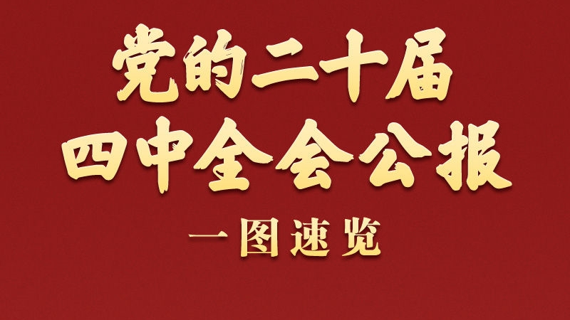 学习新语｜党的二十届四中全会公报一图速览