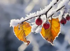山西未来两天，霜冻遇上雨雪雾