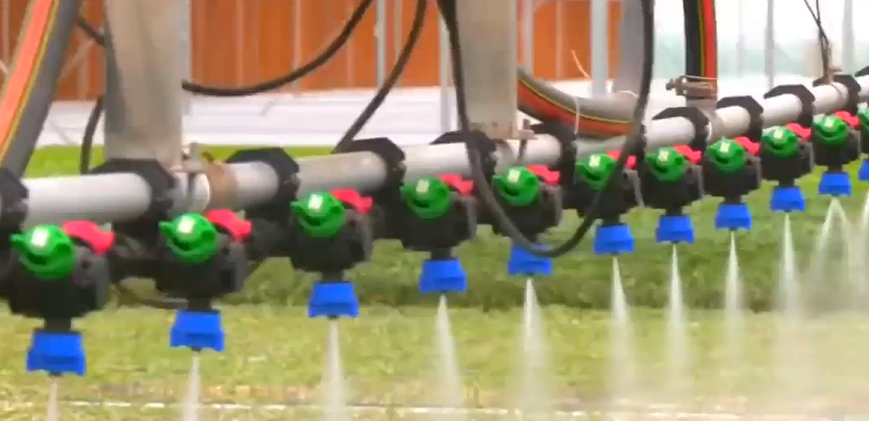 【学习贯彻党的二十届四中全会精神】为基本实现社会主义现代化而共同奋斗 党的二十届四中全会精神在我省持续引发热烈反响