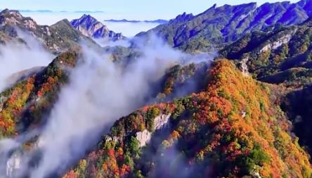 文化中国行丨登高远眺 踏秋赏景 一起感受重阳节文化之美