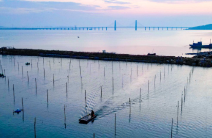 四中全会精神在基层｜山东：耕海牧渔充盈“蓝色粮仓”