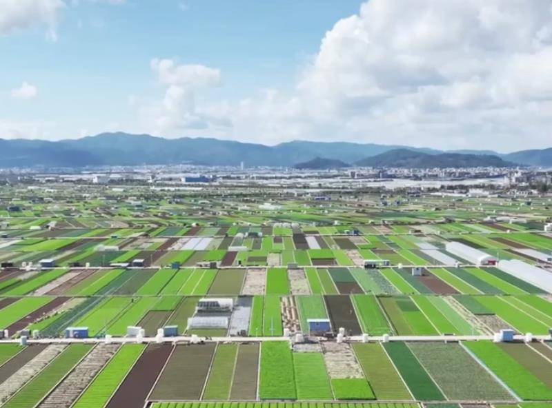 说“闻”解字·“十五五”规划建议，提到哪16个“强国”目标