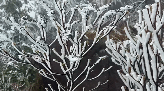 文化中国行·小雪 | 岭南微寒启冬韵，赛场驰骋展锋芒