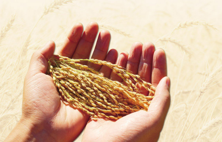 节约，从整治“微浪费”开始