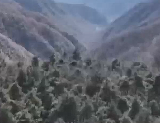 乡宁：不松懈！织牢森林防火“安全网”