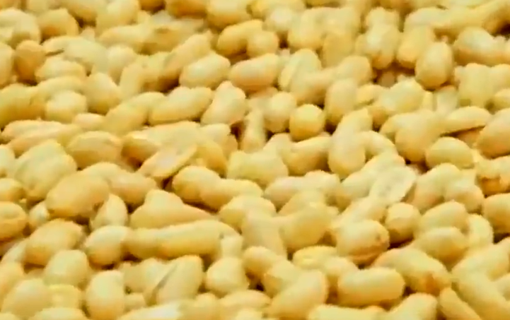 【四中全会精神在基层】特色农业“链”就富民好“钱”景