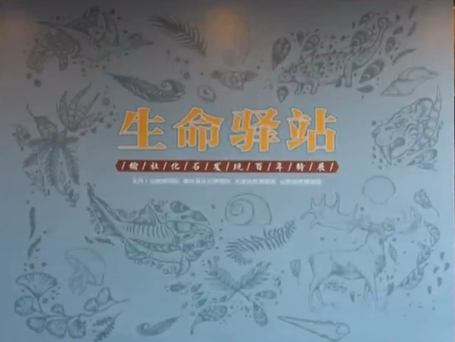 【文化中国行】百余件化石 带您看亿万年前“大象犀牛游山西”