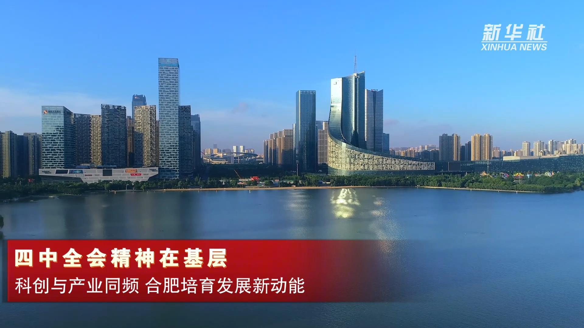 四中全会精神在基层｜科创与产业同频 合肥培育发展新动能