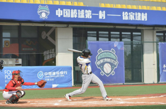 四中全会精神在基层|建起棒球场，组团种花卉——浙江嘉兴村庄走出抱团发展共富路