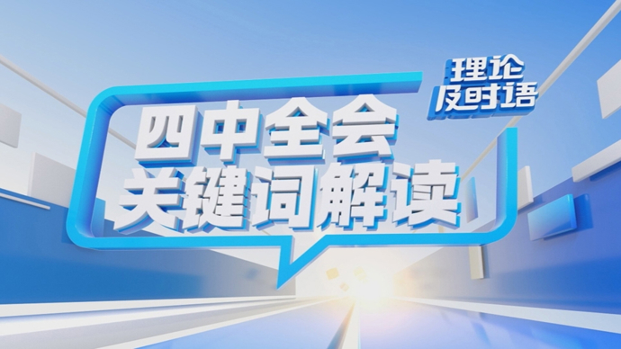 四中全会关键词解读⑤：国内大循环｜理论及时语