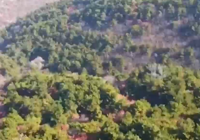 【安全为天 责任如山】我省各地全力筑牢森林防火墙 守护青山一片绿