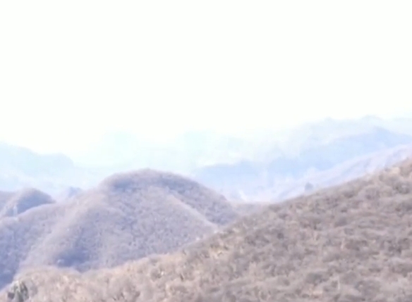 护林防火“弦紧绷” 防患未“燃”护青山