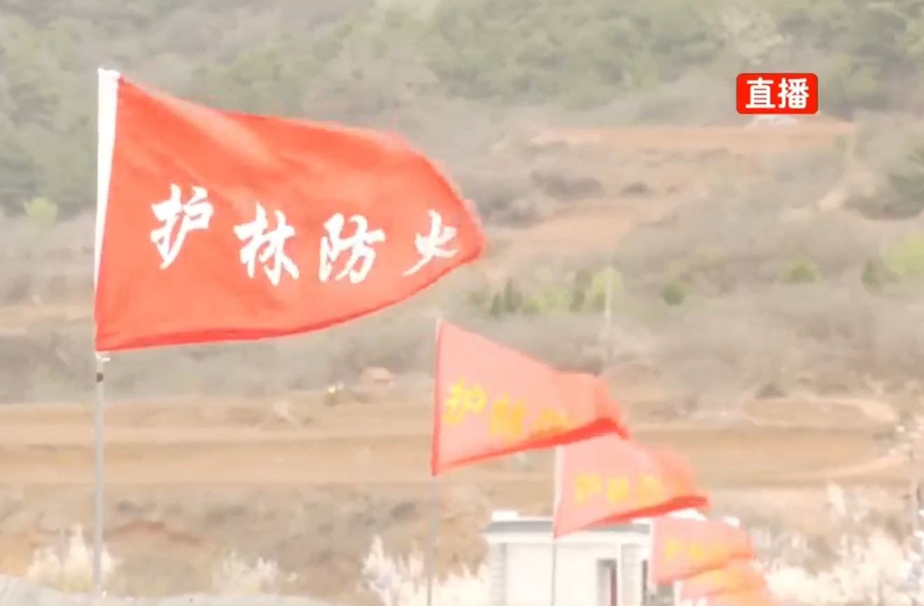 联防联控 织密森林防火安全网