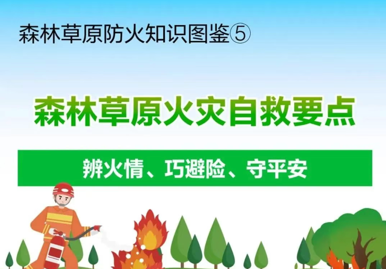 森林草原防火知识图鉴⑤：森林草原火灾自救要点
