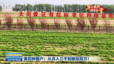 【牢记嘱托 转型奋“晋”】从“一朵黄花”到“一路生花”