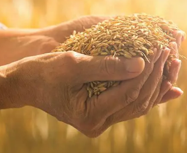 一图看懂！《反食品浪费法》重点全划好了→