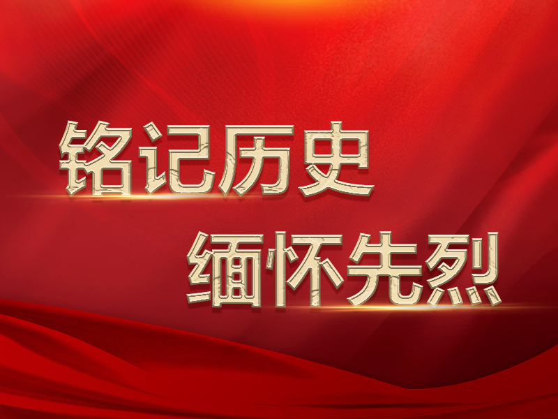 【铭记历史 缅怀先烈】抗日特等杀敌英雄——马应元