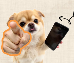 猫粮狗粮配料表应该怎么看？科学喂养从选粮开始
