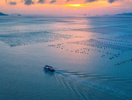 文化中国行·处暑 | 炎夏收梢凉风起，秋实累累压枝低