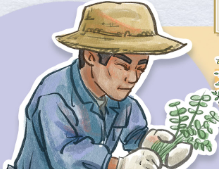 【文化中国行】节气中的道地山西·白露——黄芪 元气满满的哥哥