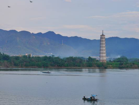 文化中国行·白露 | 蒹葭苍苍露凝白，雁归岭南柚飘香