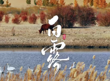 文化中国行丨白露时节，暑气渐退，寒气初生