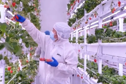 “十五五”开好局起好步丨做强特色优势产业 全面推进乡村振兴