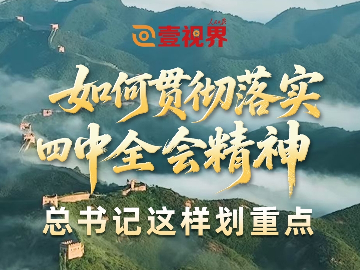 壹视界·微视频丨如何贯彻落实四中全会精神？总书记这样划重点