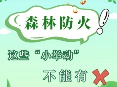 这些森林防火小知识，请收好！