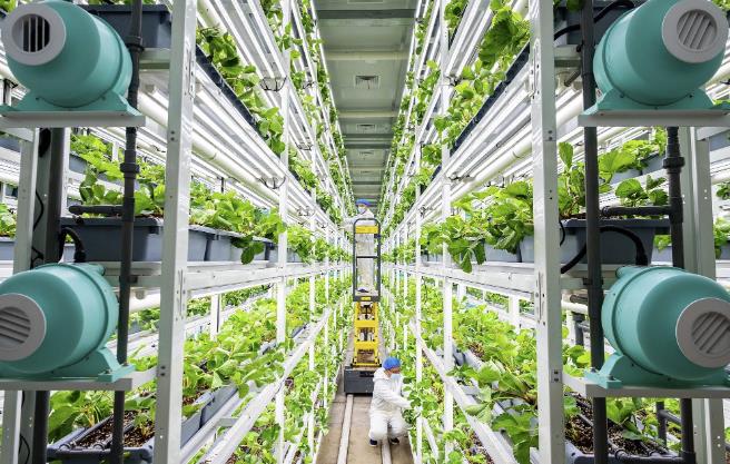 晶采观察丨“十五五”开局！新质生产力赋能 中国农业现代化“智慧大升级”