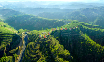 【“十四五”山西经济社会发展成就系列报道】植绿三晋绘宏图——山西“三北”工程“十四五”建设成就综述