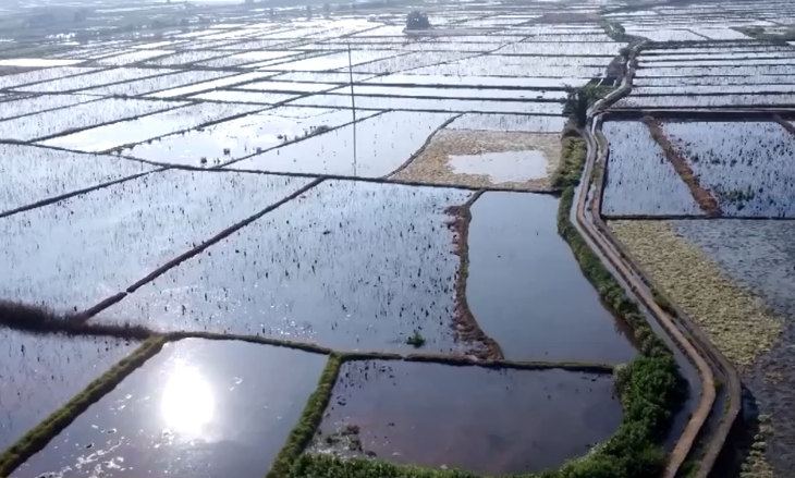 “十五五”期间我国将加快建设现代化水网