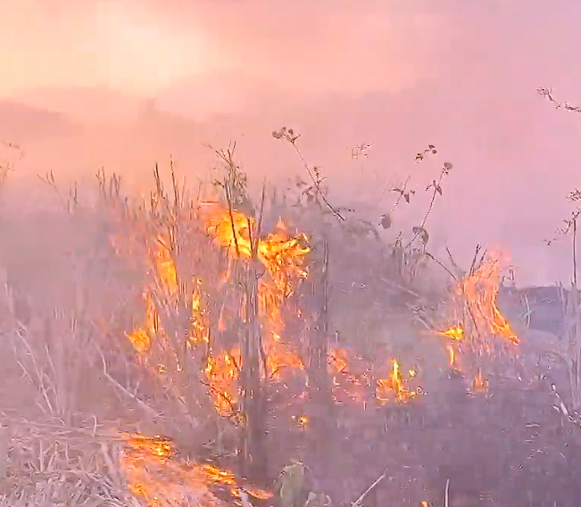 严管野外用火 守护绿色家园