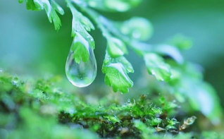 文化中国行·联播一瞬丨雨水：春风化雨 福满人间