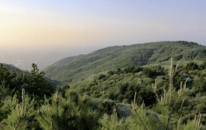 【打好森林防火人民战争】省林草局召开全省林草防火工作视频调度会 压实工作责任 强化防控举措